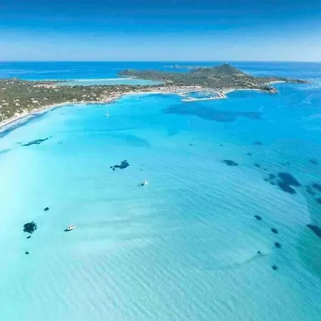 Сasa de vacaciones 100mt From Campulongu With Sea View *