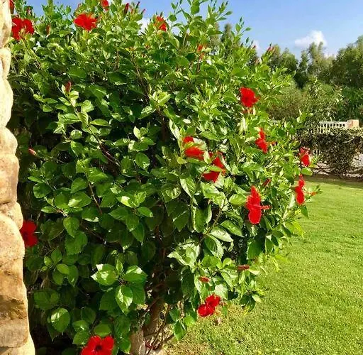 100mt From Campulongu With Sea View بيت للعطل