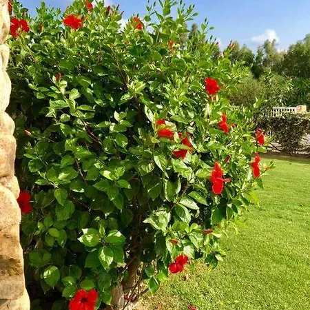 100mt From Campulongu With Sea View Holiday home