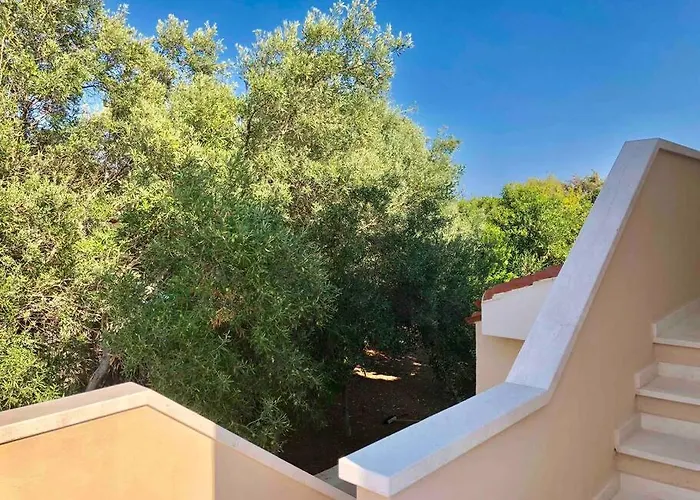 בית נופש 100mt From Campulongu With Sea View